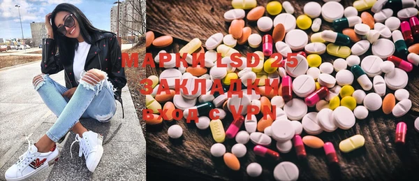 ПСИЛОЦИБИНОВЫЕ ГРИБЫ Богданович