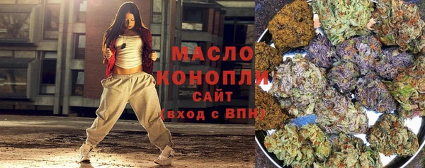 ПСИЛОЦИБИНОВЫЕ ГРИБЫ Богданович