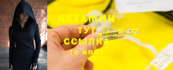 ПСИЛОЦИБИНОВЫЕ ГРИБЫ Богданович