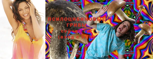 COCAINE Богородск