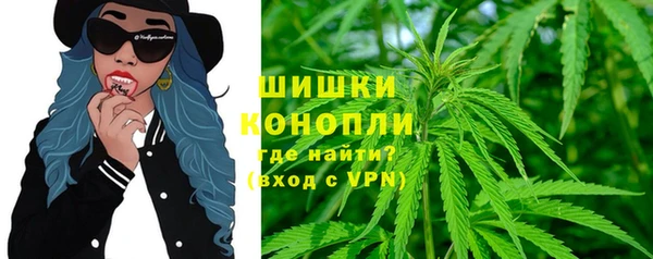 ПСИЛОЦИБИНОВЫЕ ГРИБЫ Богданович