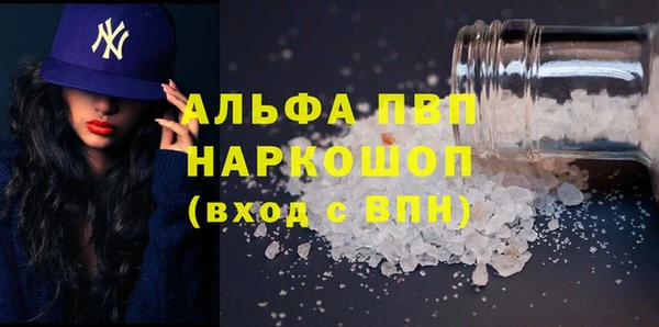 ПСИЛОЦИБИНОВЫЕ ГРИБЫ Богданович