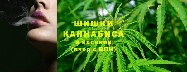 дживик Богородицк