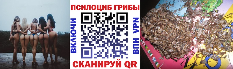 Псилоцибиновые грибы мицелий  площадка телеграм  Хабаровск 